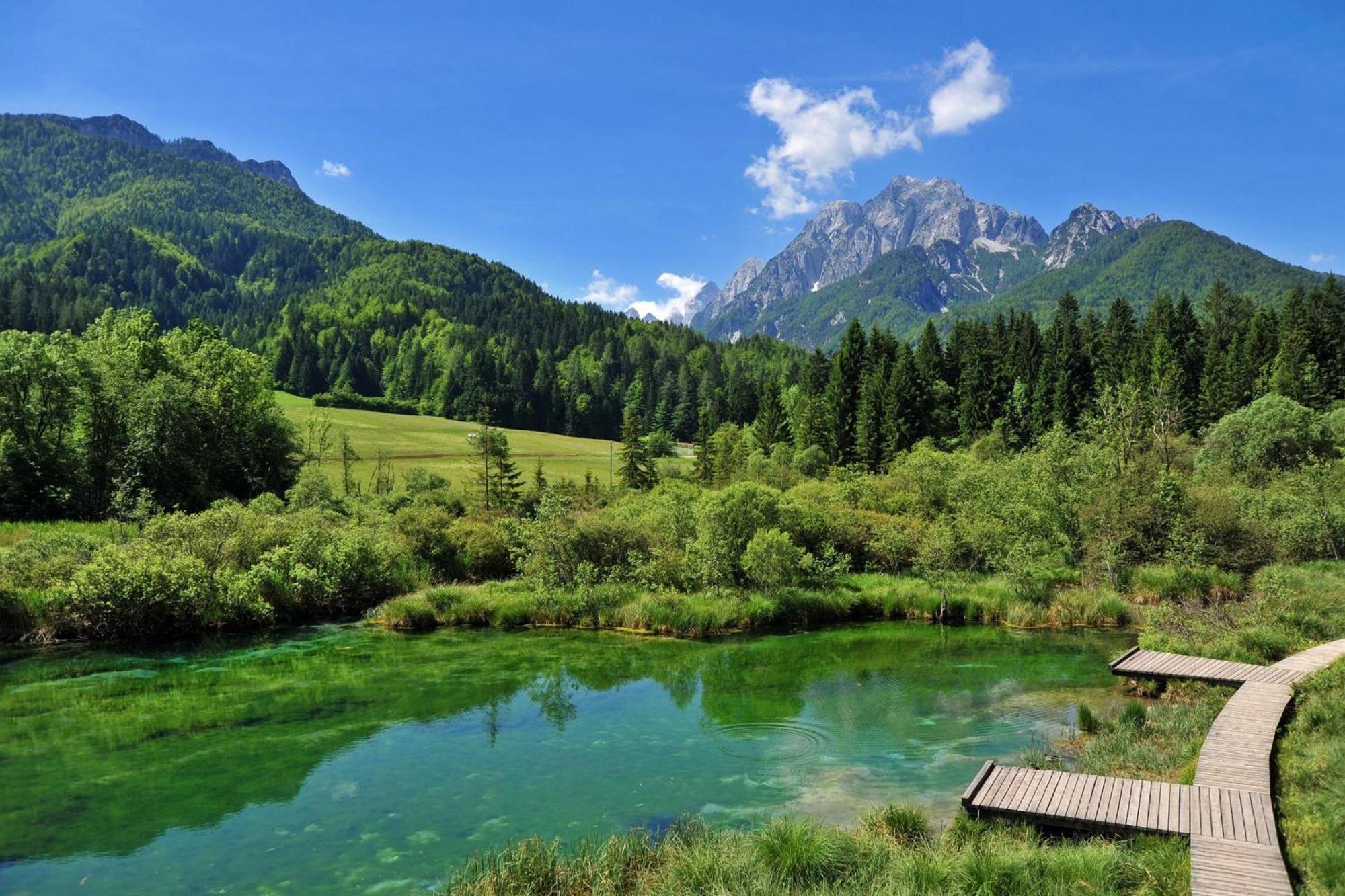 Alpine Retreat Gaja Kranjska Gora - Happy Rentals Luaran gambar